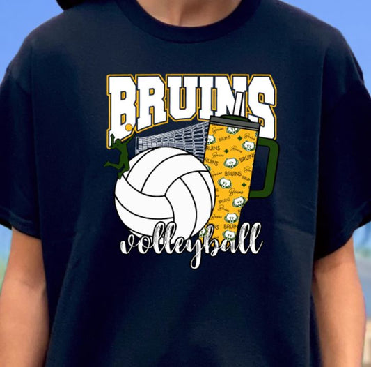 Bruins volleyball