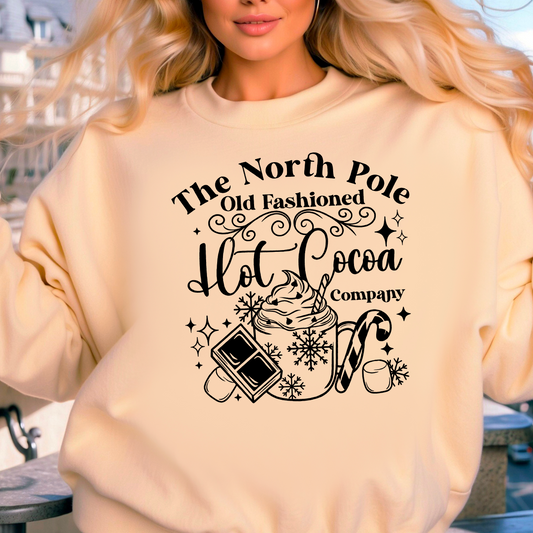 North pole coco