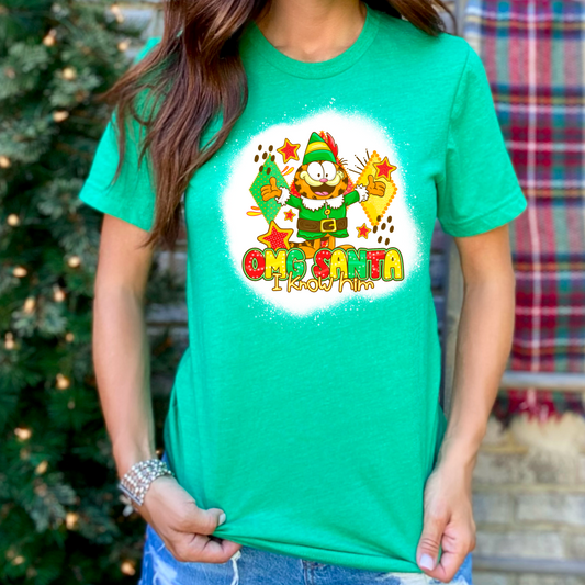 OMG santa garfield