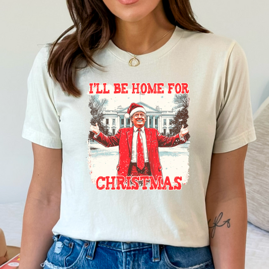 White house Christmas