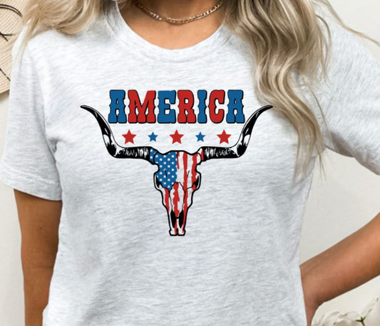 America skull