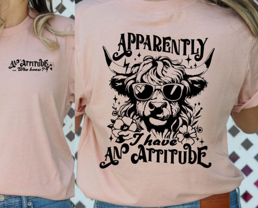 Apparently i have an attitude