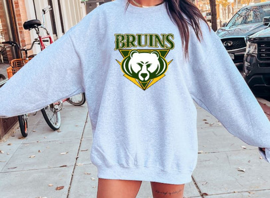 Bruins triangle sweashirt