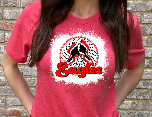 Eagles color guard flag