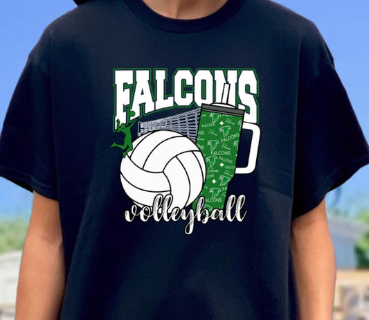 Falcons volleyball