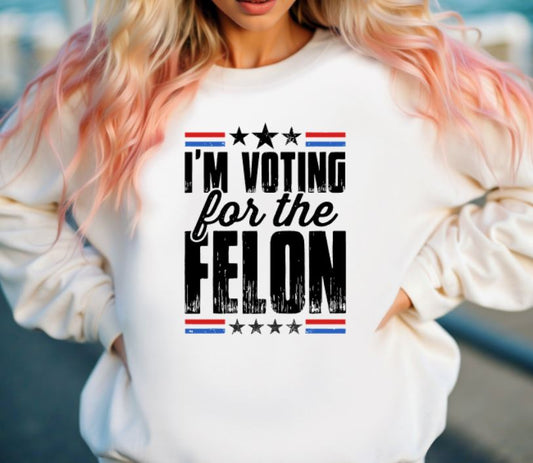 Voting for felon