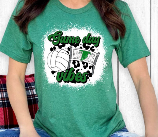 Falcons volleyball game day