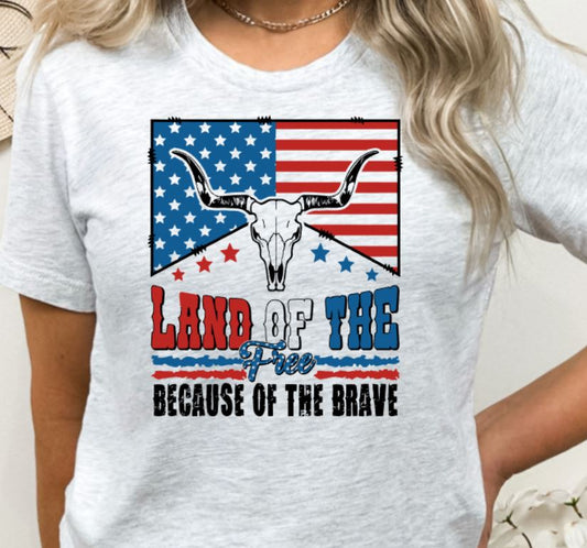 Land of the free skull