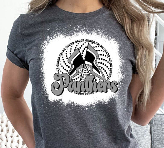 Panthers color guard flags