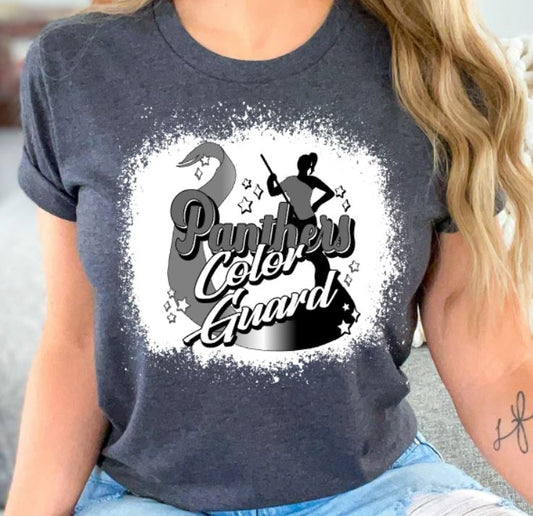 Panthers color guard