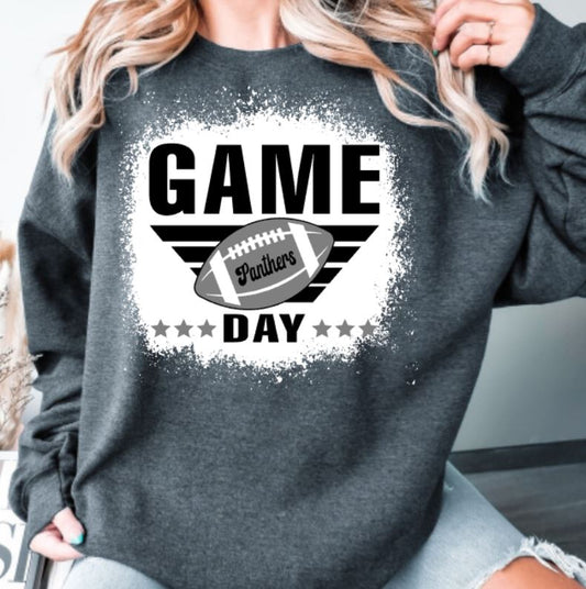 Panthers game day football