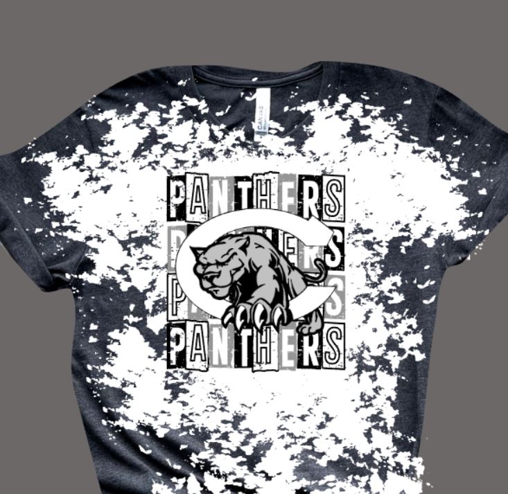 Panthers square