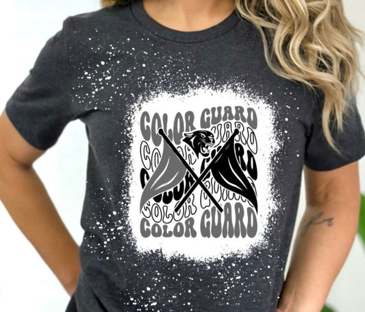 Panthers wavy color guard