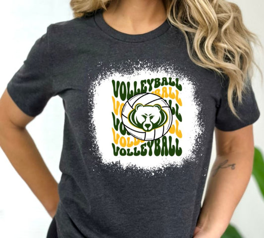 Bruins wavy volleyball