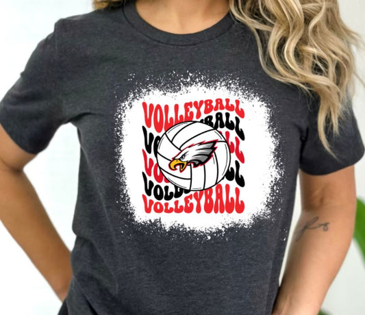 Eagles wavy volleyball