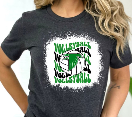 Falcons wavy volleyball