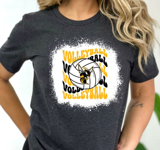 Hornets wavy volleyball