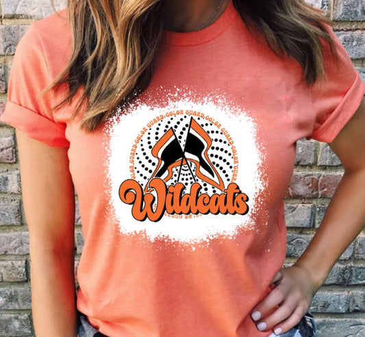 Wildcats color guard flags