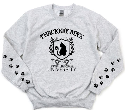 Thackery Binx university