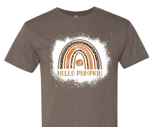 hello pumpkin boho rainbow