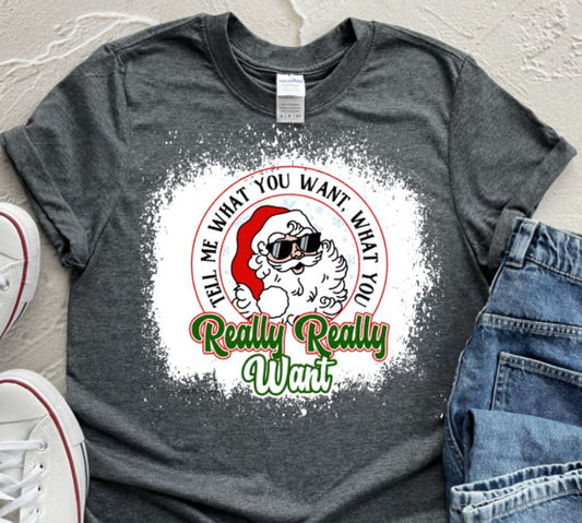 really really want santa