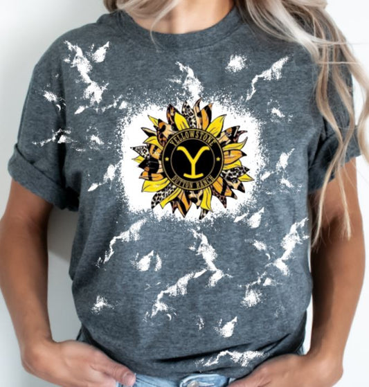 yellowstone sunflower