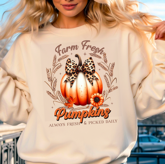 Pumpkins daily