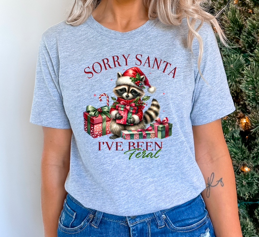 Sorry santa