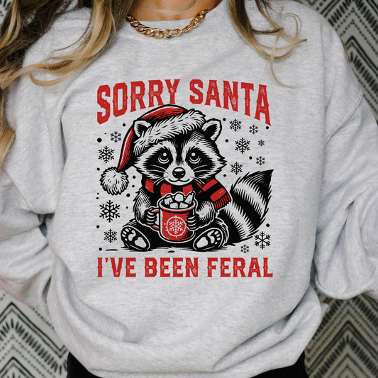 Sorry santa