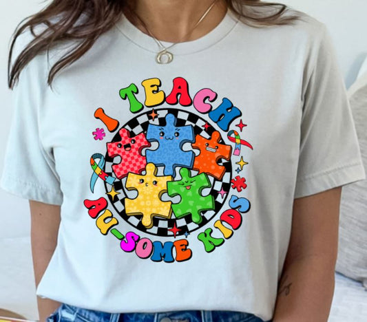 Autism Teacher