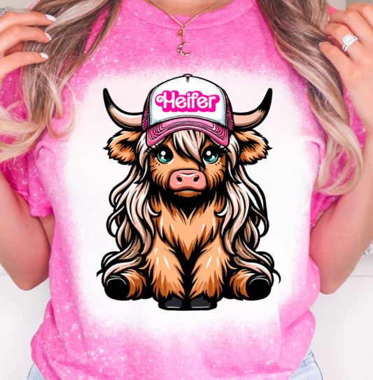 heifer