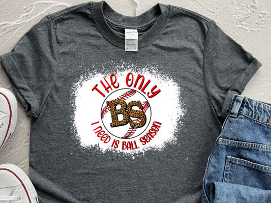 BS baseball