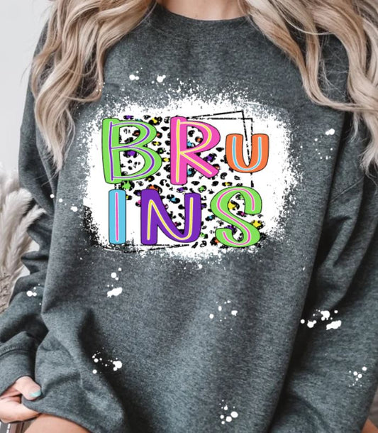 Bruins colorful