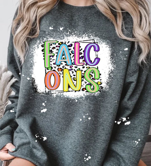 Falcons colorful