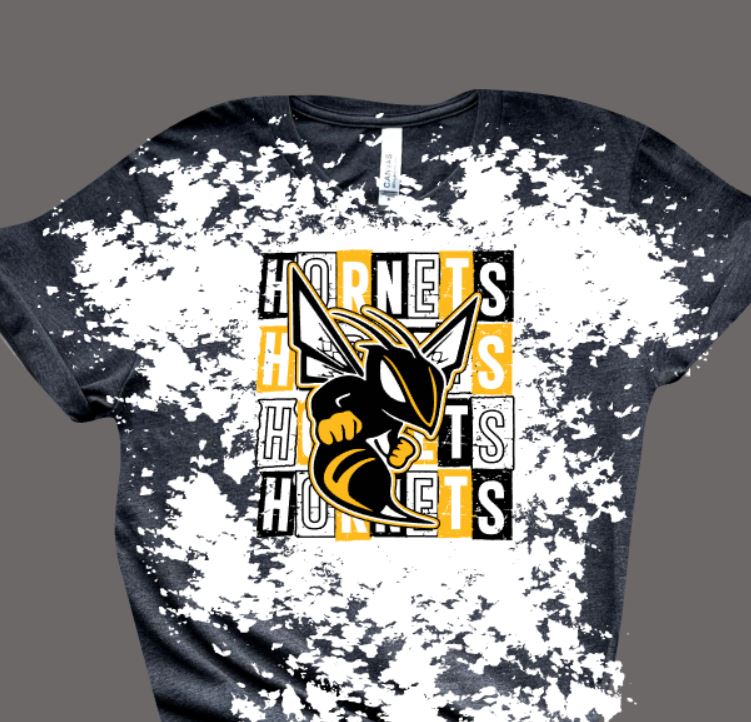 Hornets square