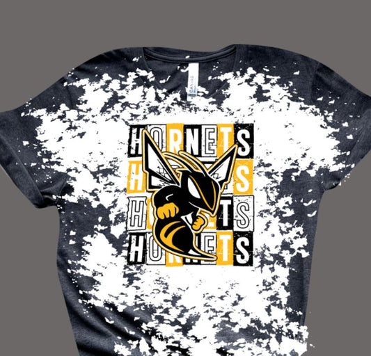 Hornets square