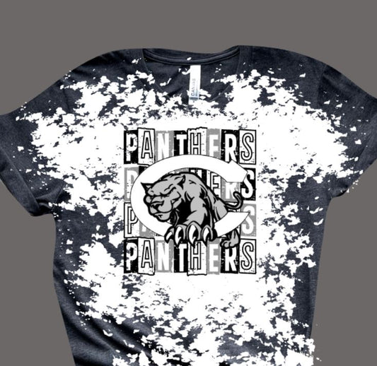 Panthers square