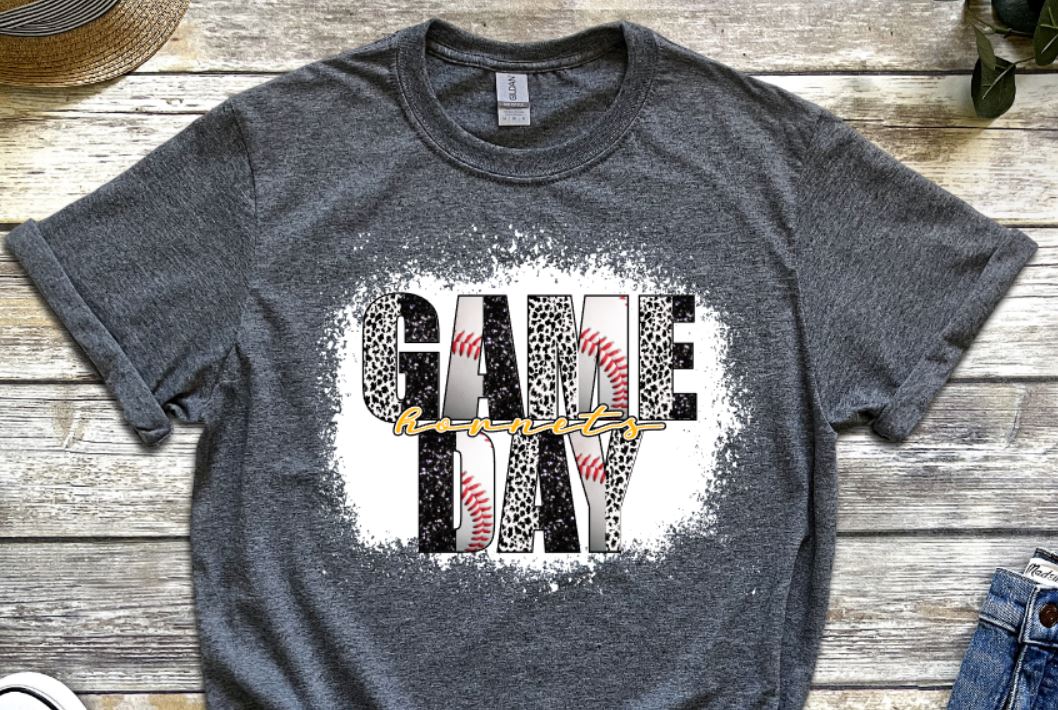 Game day baseball