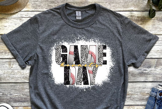 Game day baseball
