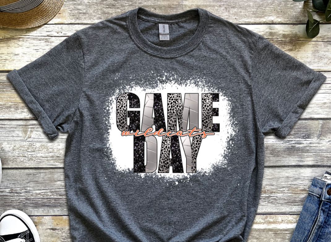 Game day volleyball