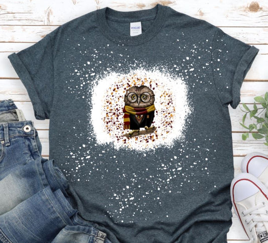 Harry Potter owl