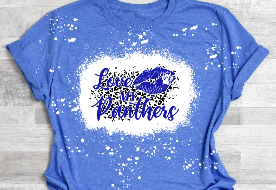 love my panthers