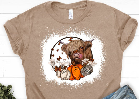 Pumpkin Highland